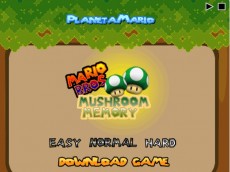 Mario bross: mushroom memory